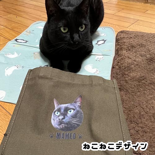 うちの子Ｔシャツ