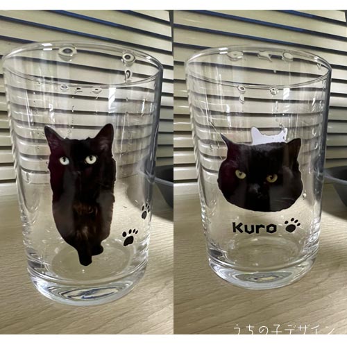 うちの子グラス