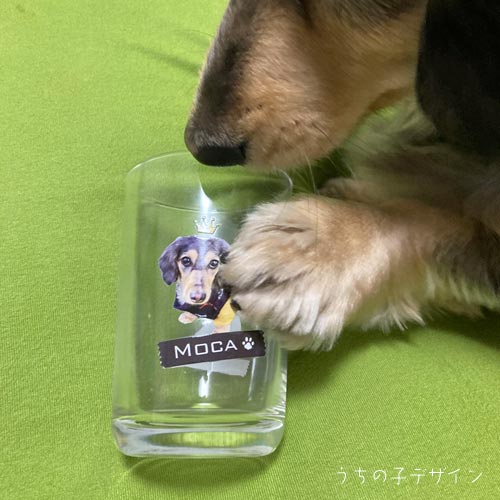 うちの子マグカップ