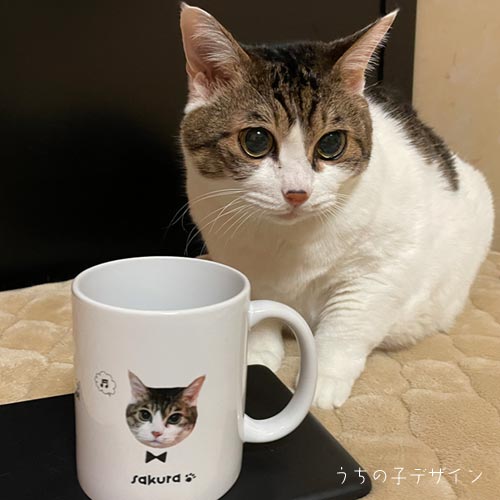 うちの子マグカップ