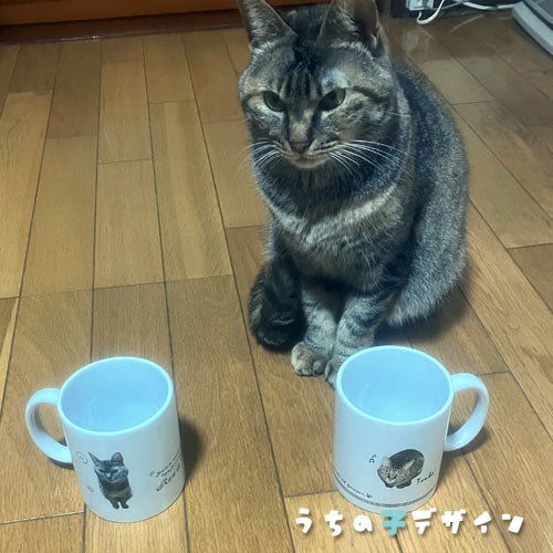 うちの子マグカップ