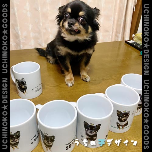 うちの子マグカップ