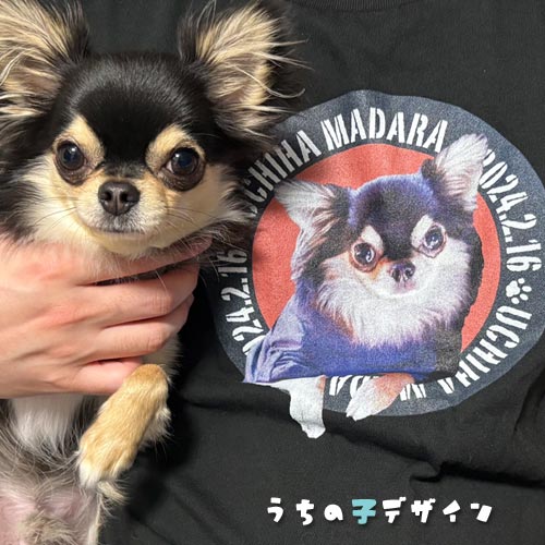 うちの子Ｔシャツ