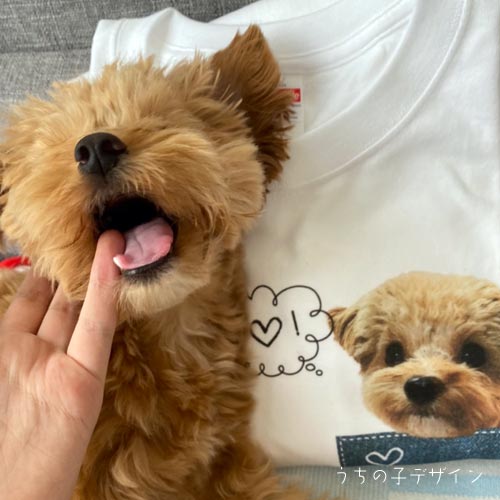 うちの子Ｔシャツ